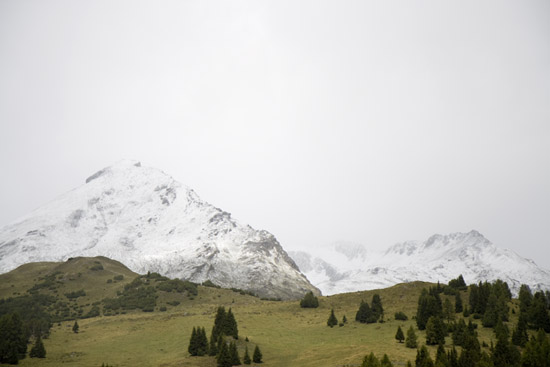 Acomposition_white_green