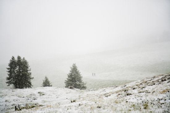 Bcomposition_white_green
