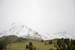Acomposition_white_green
