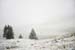 Bcomposition_white_green