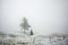 Ccomposition_white_green