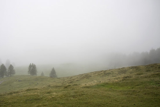 DComposition_WG_II