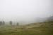 DComposition_WG_II